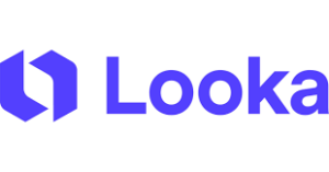 Read more about the article Looka Review 2024