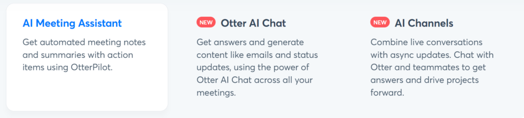 Otter.ai Review: Features