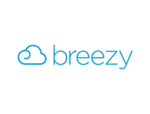 Read more about the article Breezy Review 2024