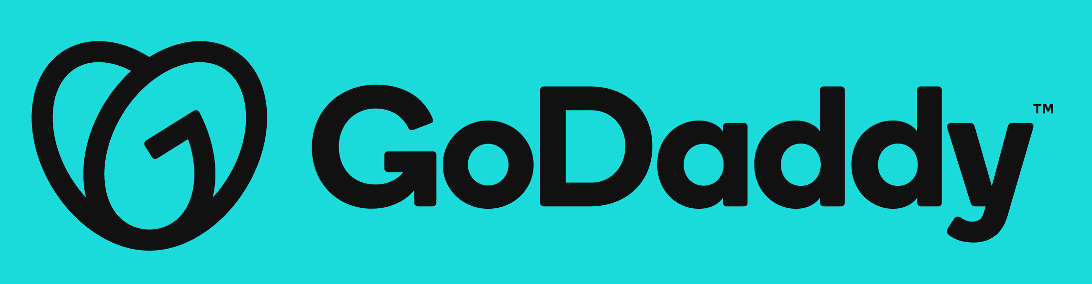 Read more about the article GoDaddy